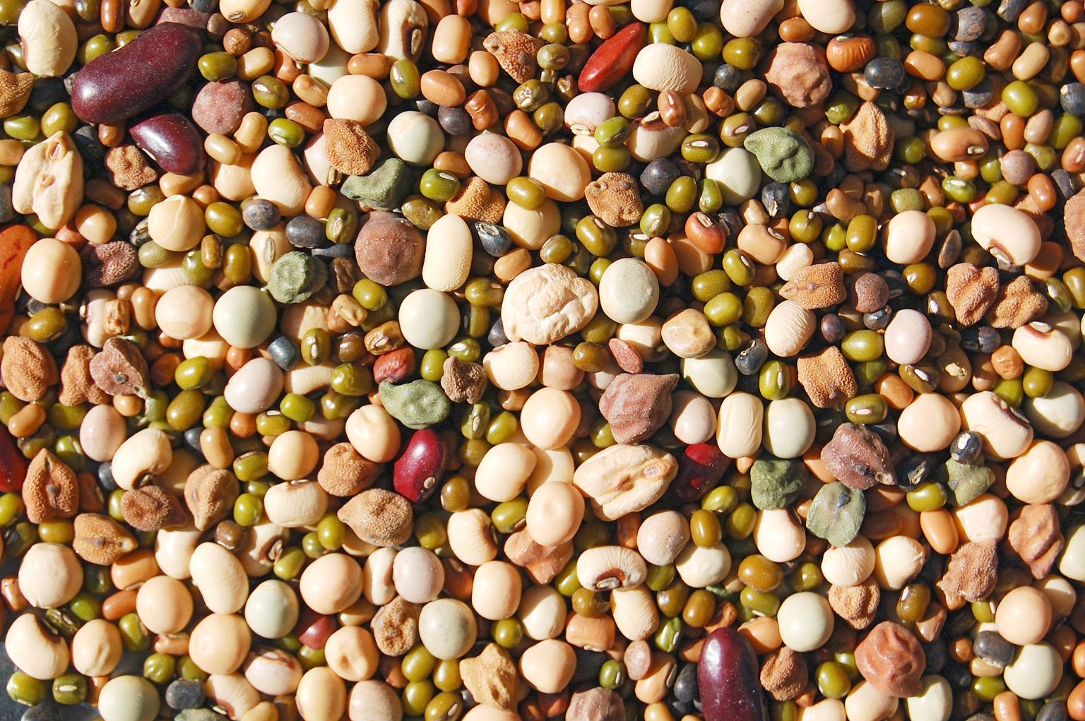 The Daniel Fast Red Bean Soup For Dinner Praise Houston