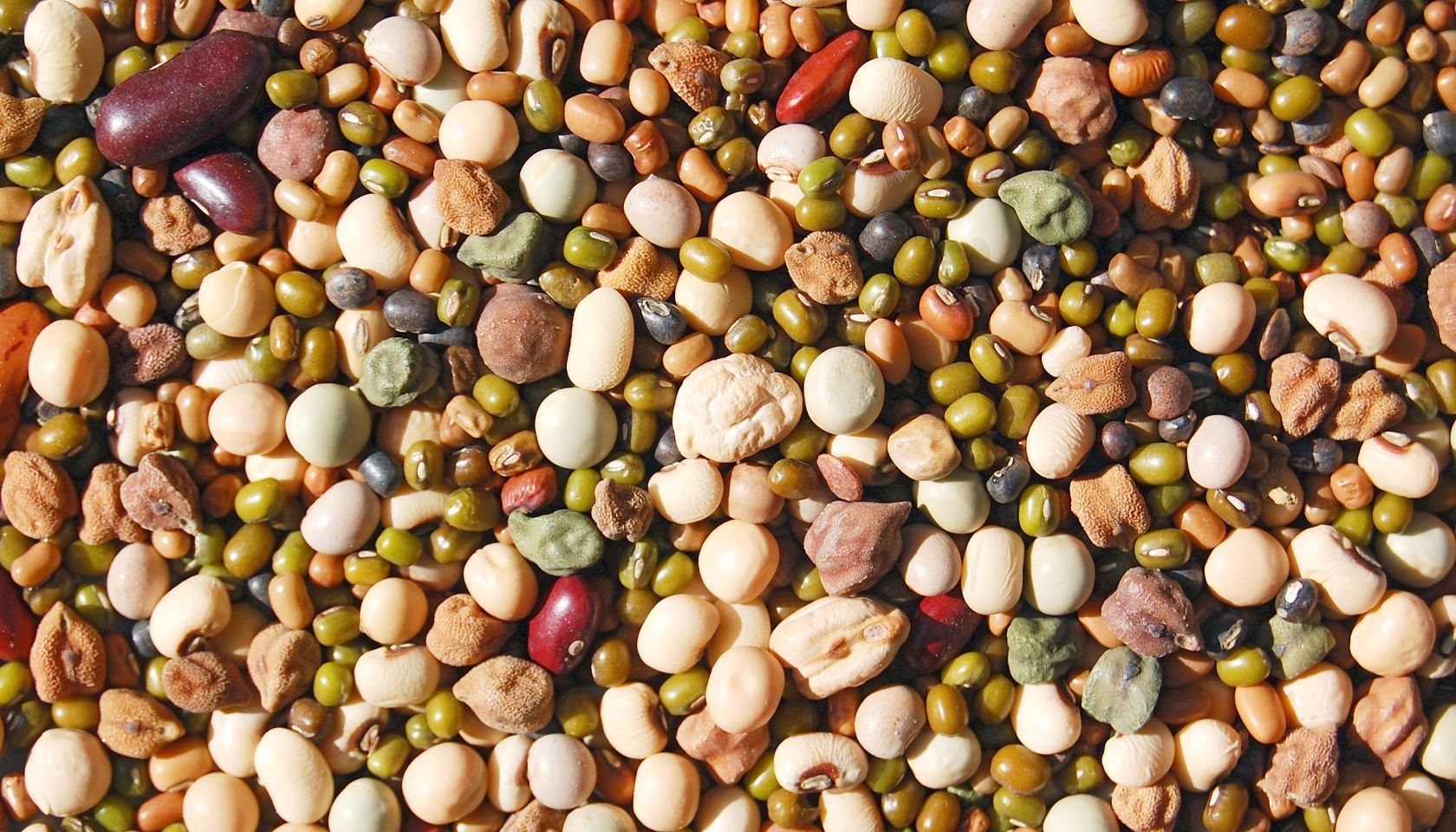 Whole mix Grains & Beans