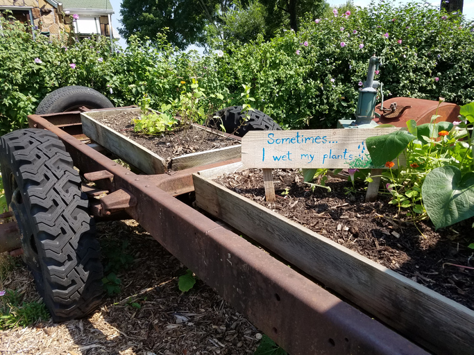 Funny Garden Sign in Plants on Old Truck, Raised Bed Gardening