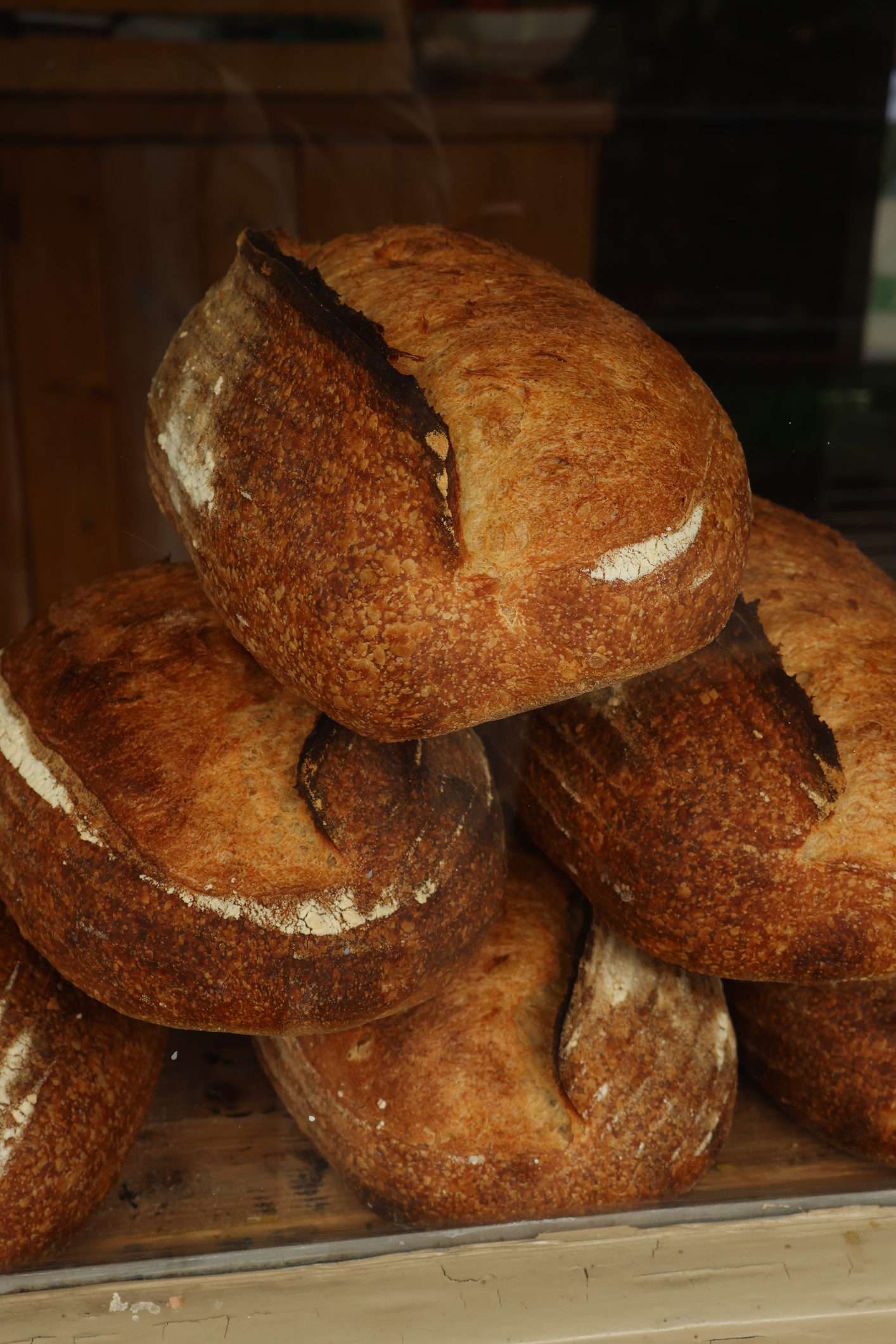Sourdough bread loaves with crusty brown texture arranged in a bakery display window, highlighting fresh artisan baking