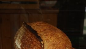 Sourdough bread loaves with crusty brown texture arranged in a bakery display window, highlighting fresh artisan baking